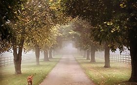 Potcote Farm Stables Accommodation Fudges Stable